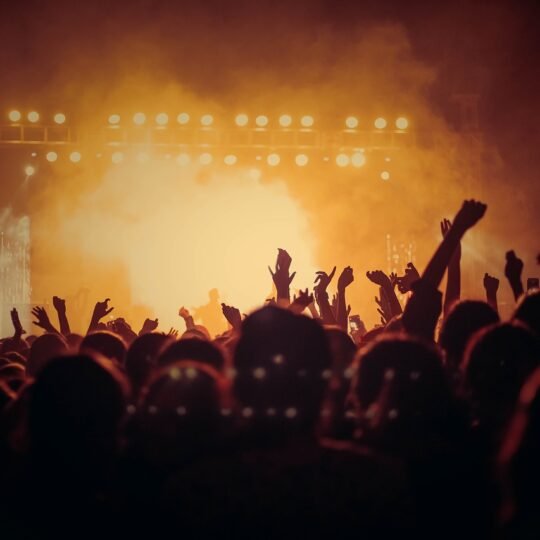Los Rabanes en Concierto