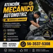 Mecanico Automotriz