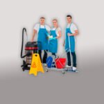 Servicios Profesionales